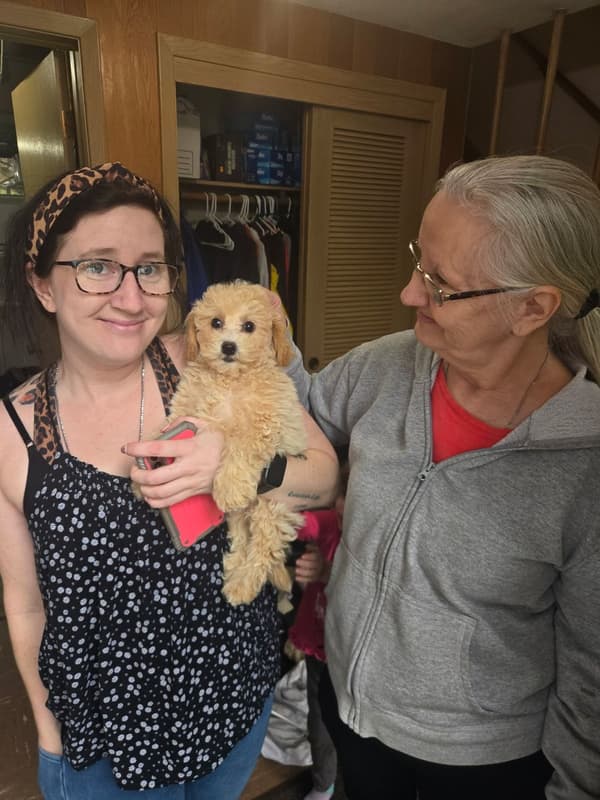 Customer photo of Bich-Poo - Bichpoo puppy from Ellen L.