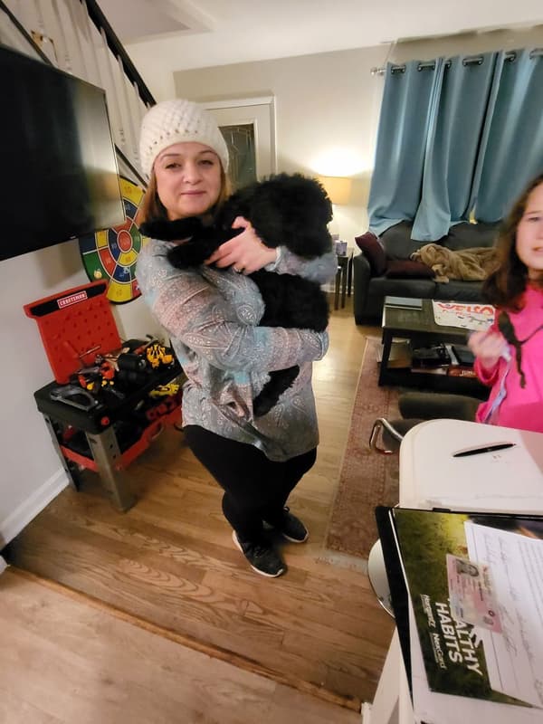 Customer photo of Poodle, Standard puppy from Karineh S.