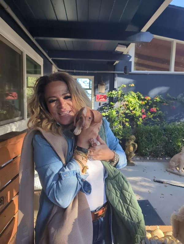 Customer photo of Dachshund, Mini puppy from Marguerite V.