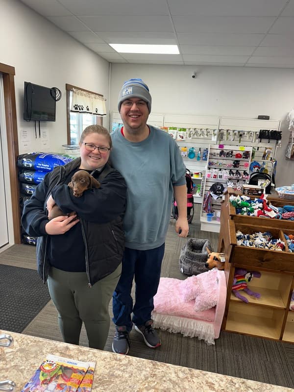 Customer photo of Dachshund, Tweenie puppy from Michelle K.