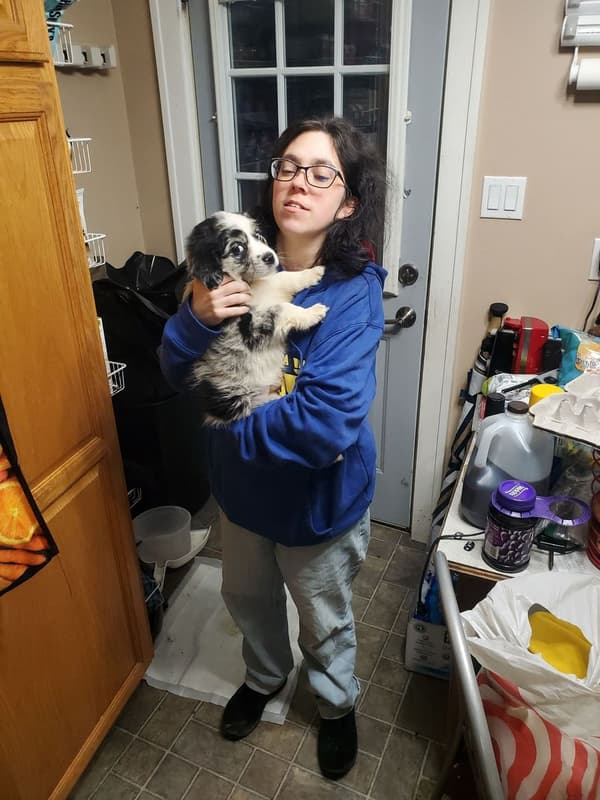 Customer photo of Miniature Australian Shepherd puppy from Amanda L.