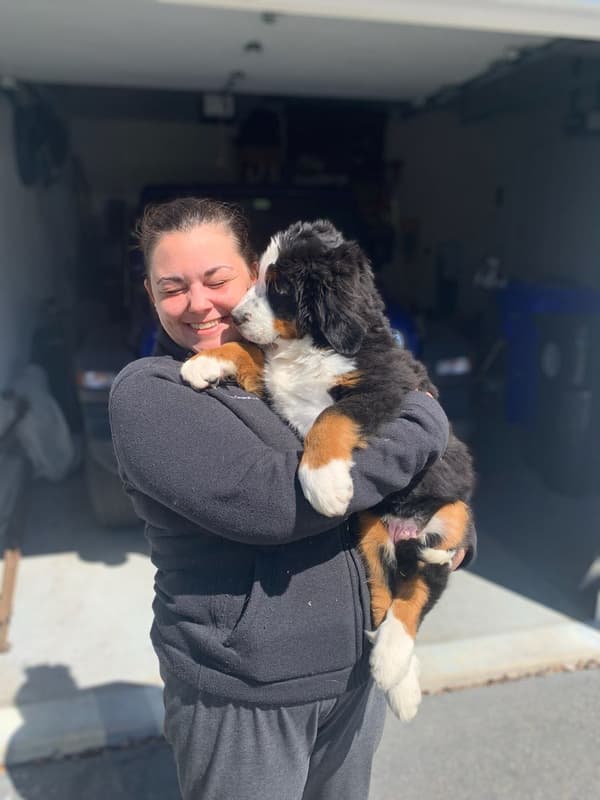 Customer photo of Bernese Mountain Dog puppy from Claire M.