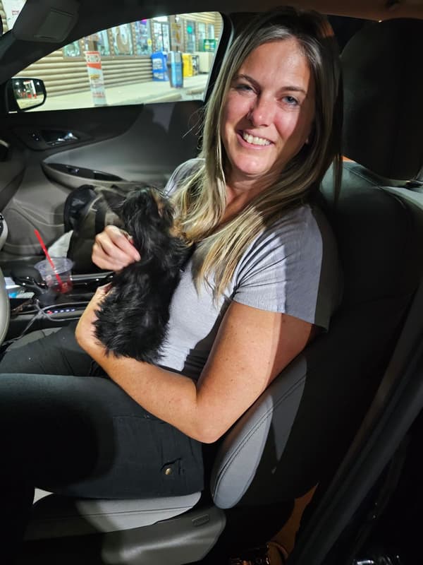 Customer photo of Yorkshire Terrier - Yorkie puppy from Alicia A.