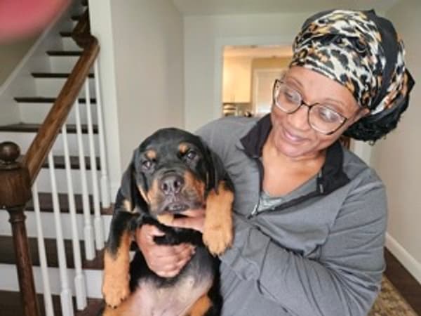 Customer photo of Rottweiler puppy from Wendy K.