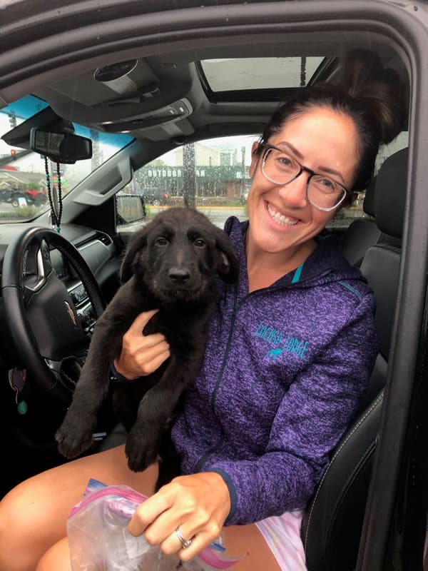 Customer photo of Shepadoodle puppy from Rochelle P.