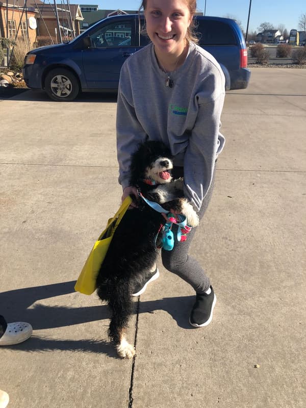 Customer photo of Bernedoodle, Mini puppy from Lisa B.