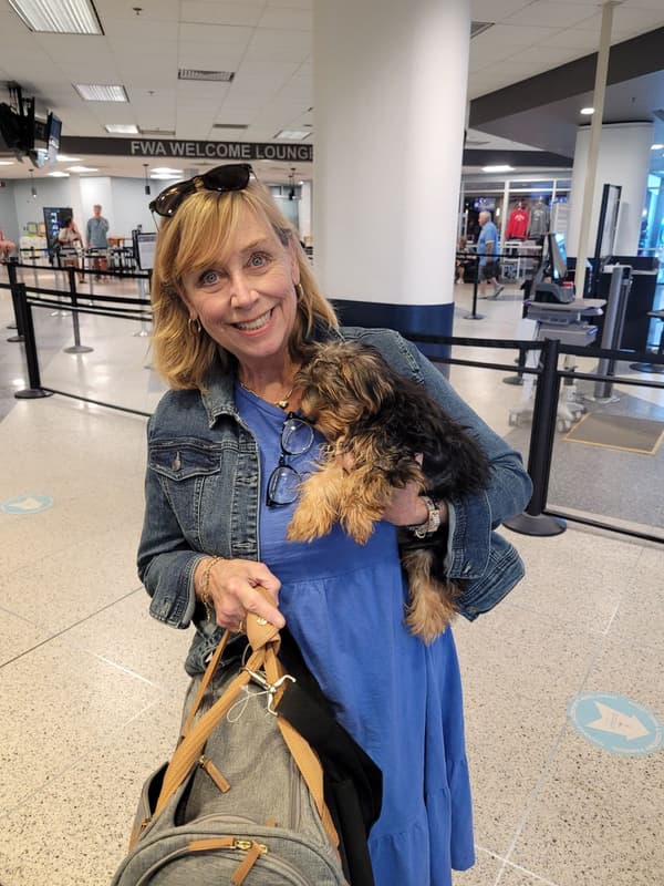 Customer photo of Yorkshire Terrier - Yorkie puppy from Cathy R.