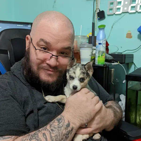 Customer photo of Pomsky puppy from Kieley R.