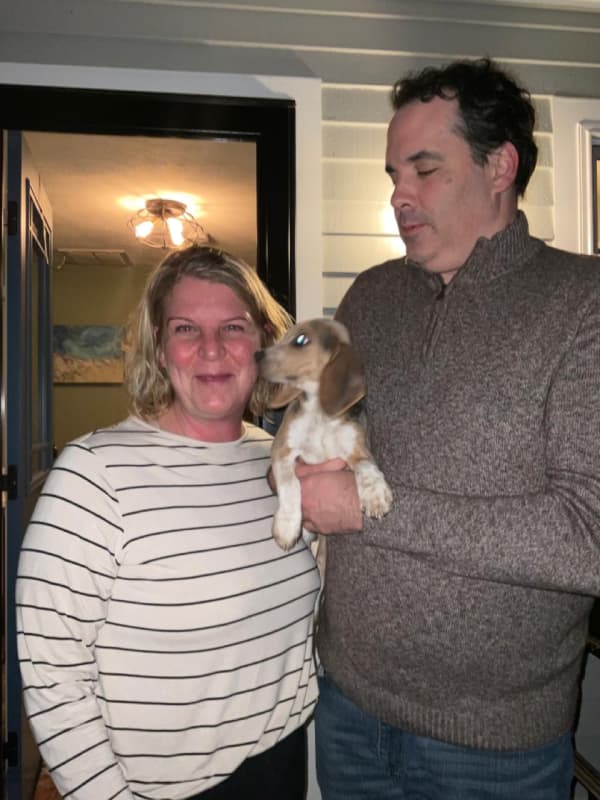 Customer photo of Beagle puppy from Katherine L.