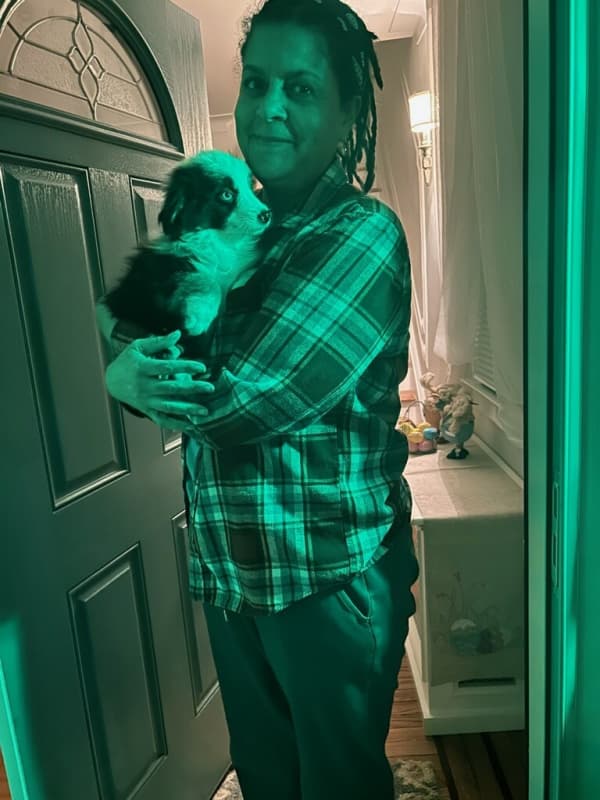 Customer photo of Miniature Australian Shepherd puppy from Terese M.