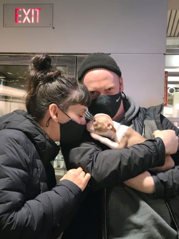 Customer photo of Boston Terrier puppy from Winston H.