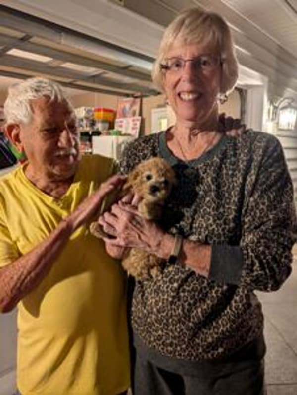 Customer photo of Poodle, Toy puppy from Mary V.