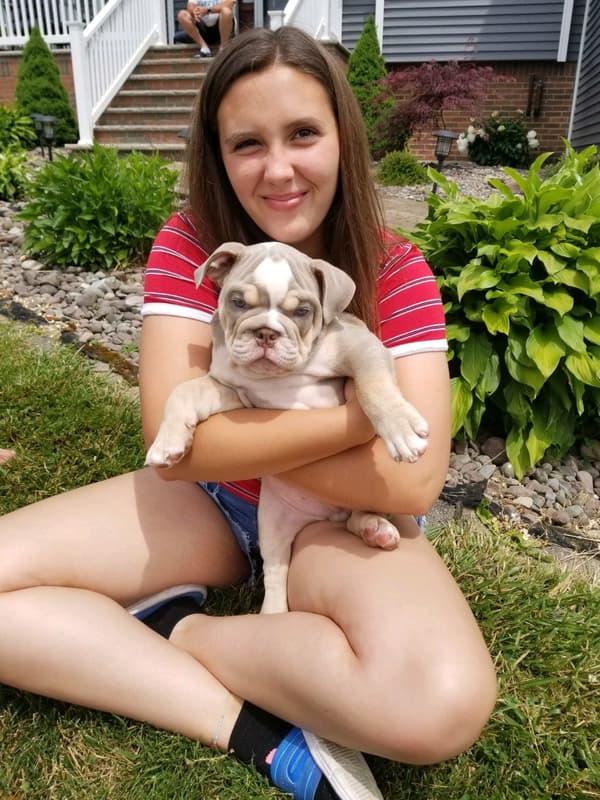 Customer photo of English Bulldog puppy from Jacinta B.
