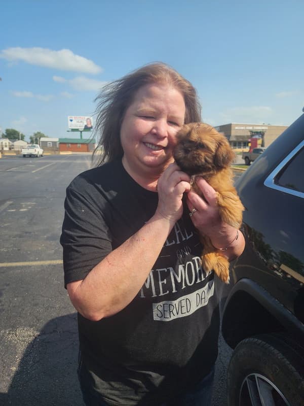 Customer photo of Shih Tzu puppy from Lori S.