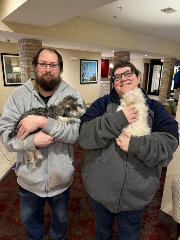 Customer photo of Schnauzer, Miniature puppy from Brian M.