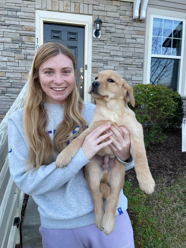 Customer photo of Labrador Retriever puppy from Jess B.
