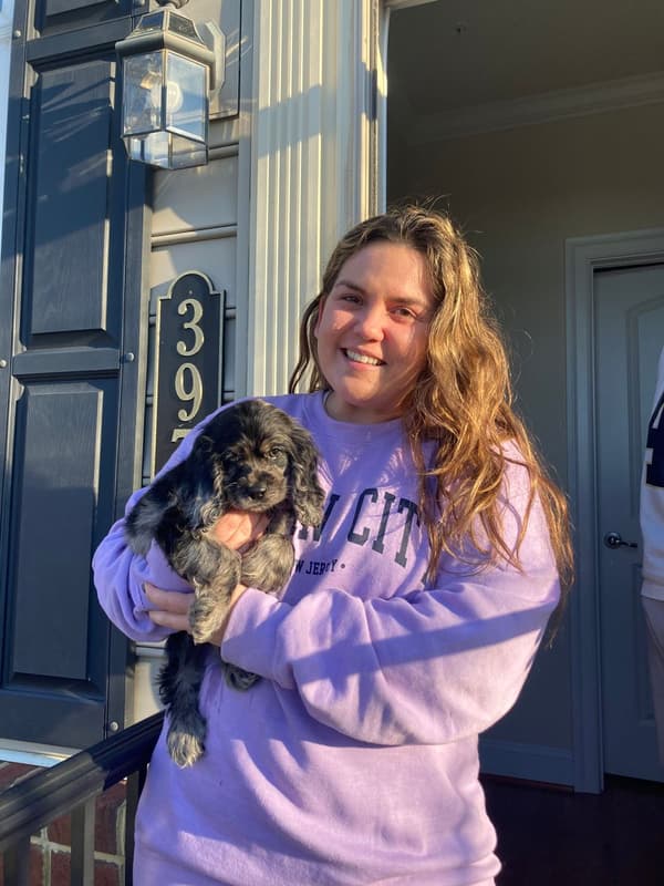 Customer photo of Cocker Spaniel puppy from Arielle W.