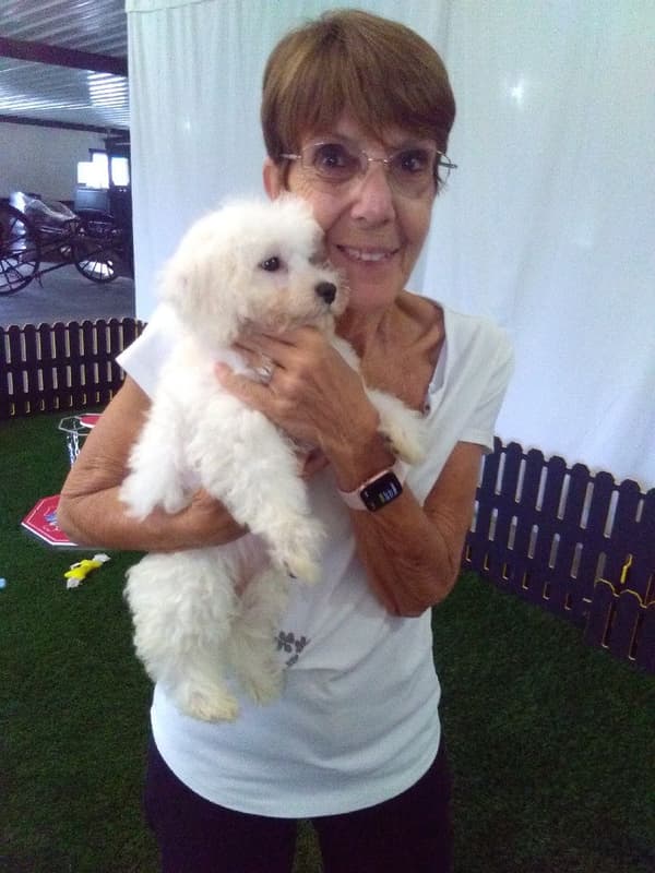 Customer photo of Bichon Frise puppy from Diane A.