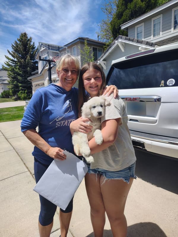 Customer photo of English Golden Retriever puppy from Wendy M.
