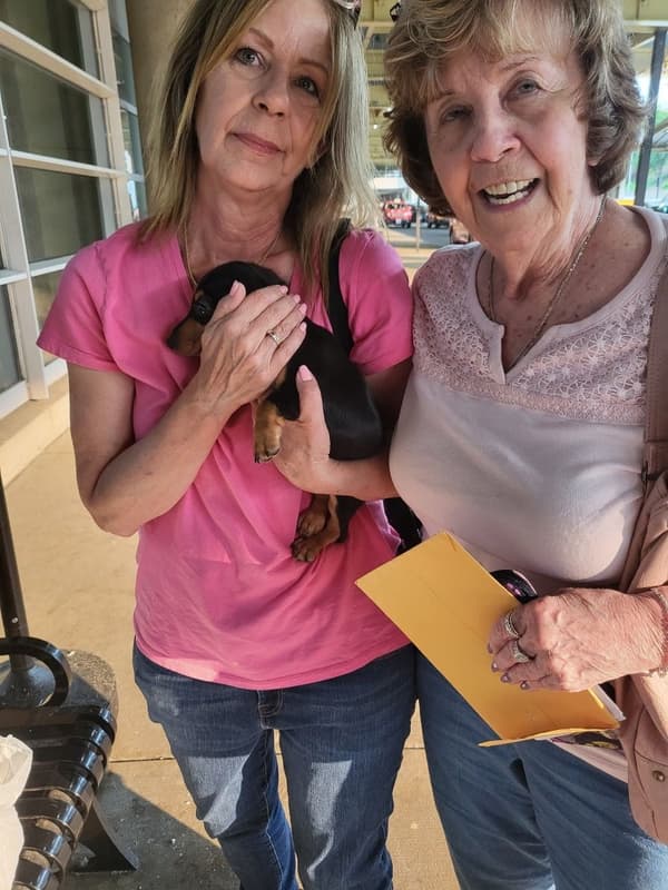 Customer photo of Dachshund, Mini puppy from Kay B.