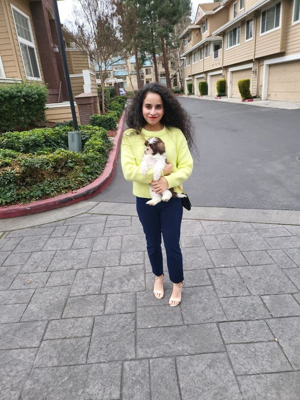 Customer photo of Shih Tzu puppy from Ramya M.