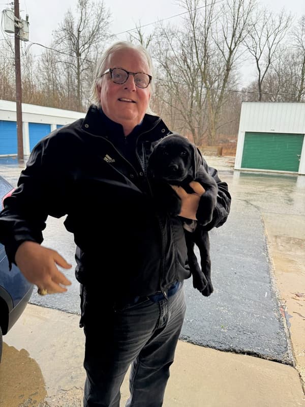 Customer photo of Labrador Retriever puppy from Joseph K.