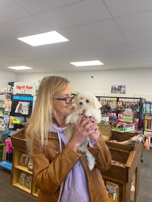 Customer photo of Maltese puppy from Brenda M.