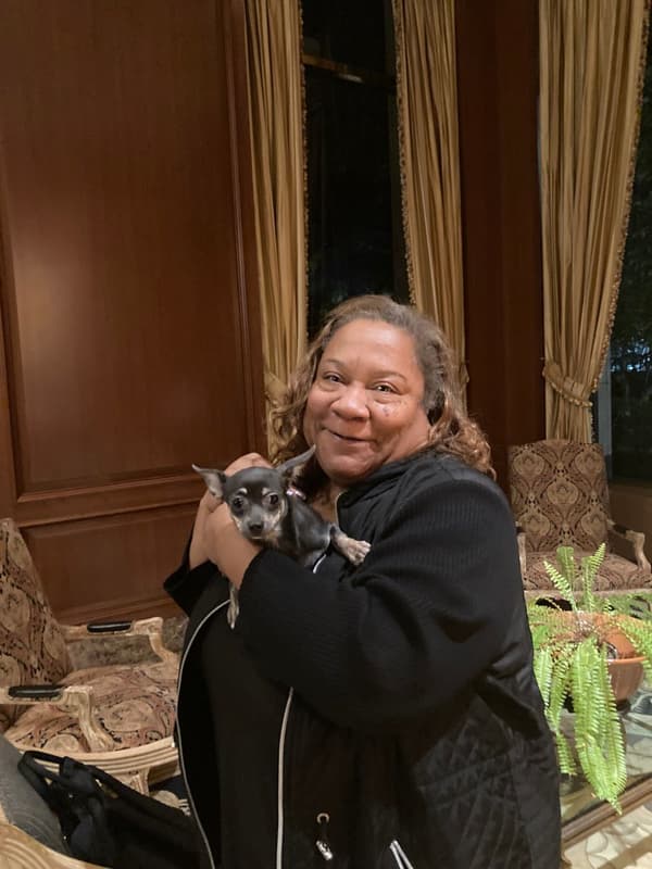 Customer photo of Chihuahua puppy from Dana C.