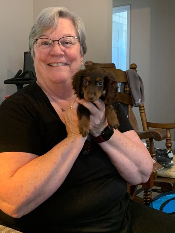 Customer photo of Dachshund, Mini puppy from Sheila F.