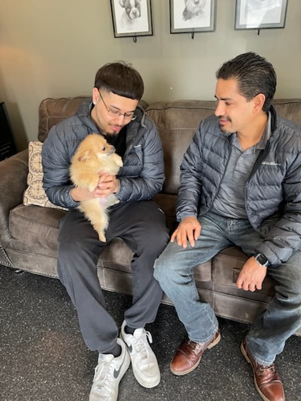 Customer photo of Pomeranian puppy from Mauro T.