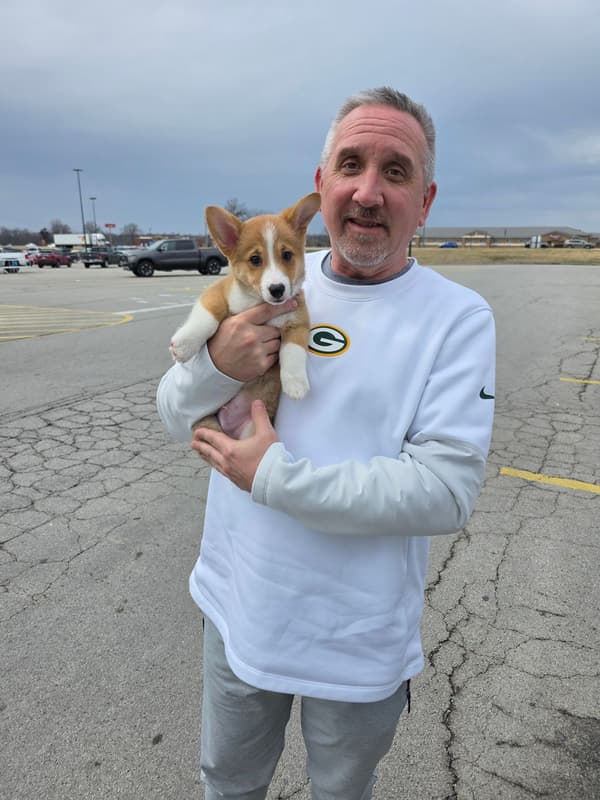 Customer photo of Corgi, Pembroke Welsh puppy from Jack F.