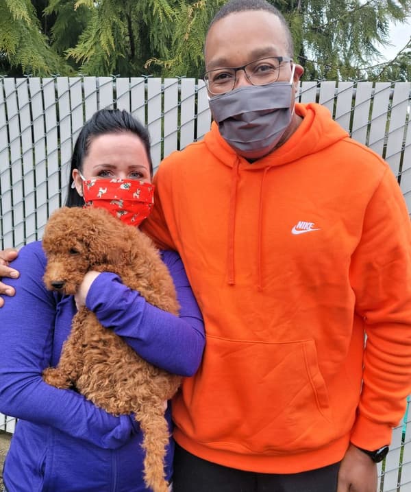 Customer photo of Goldendoodle puppy from Frankie N.