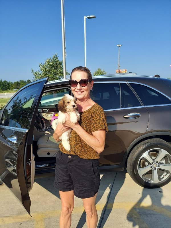 Customer photo of Cavachon puppy from Kristine G.