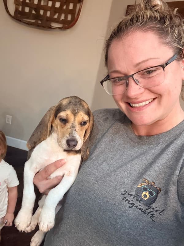Customer photo of Beagle puppy from Bethany A.
