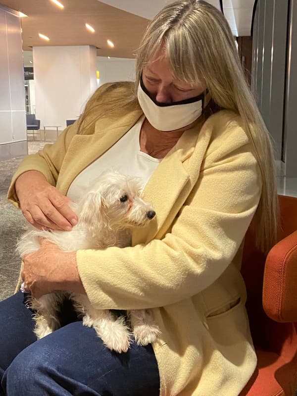 Customer photo of Schnoodle puppy from Sarah A.