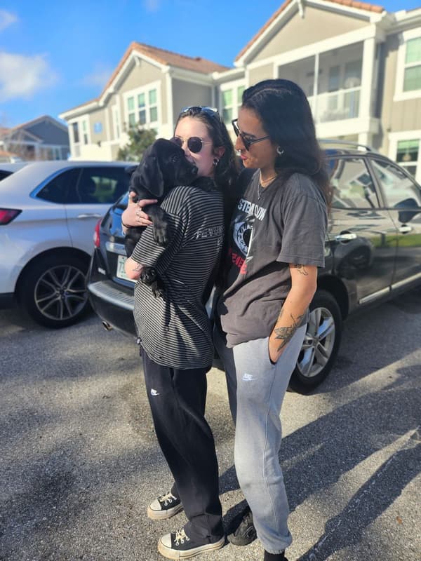 Customer photo of Great Dane puppy from Jamie R.