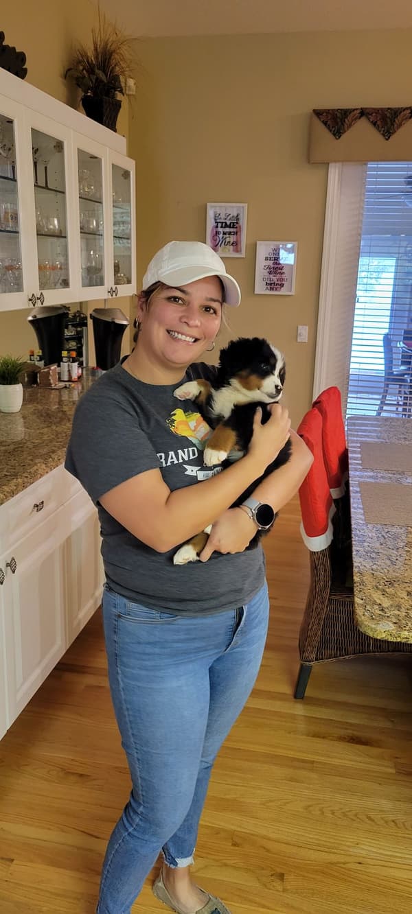 Customer photo of Bernese Mountain Dog puppy from Jazmin B.