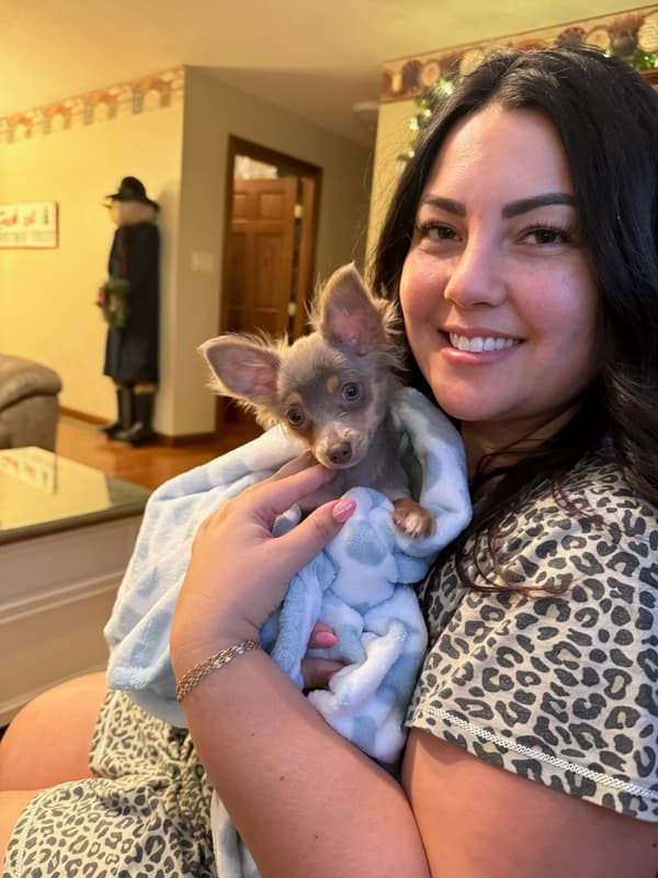 Customer photo of Chihuahua puppy from Karlota M.