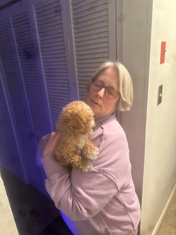 Customer photo of Cavapoo puppy from Barbara N.