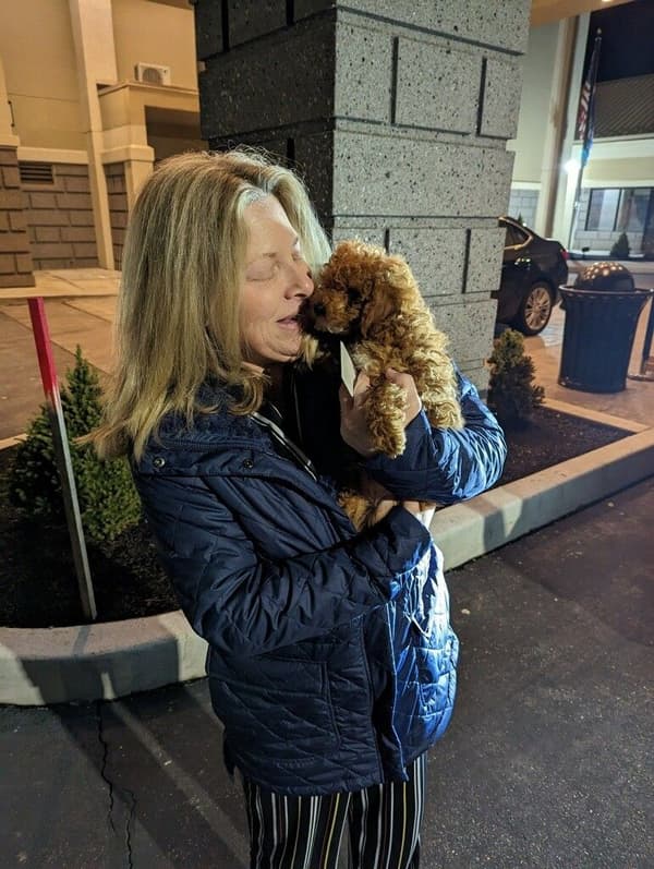 Customer photo of Poodle, Toy puppy from Sherri D.