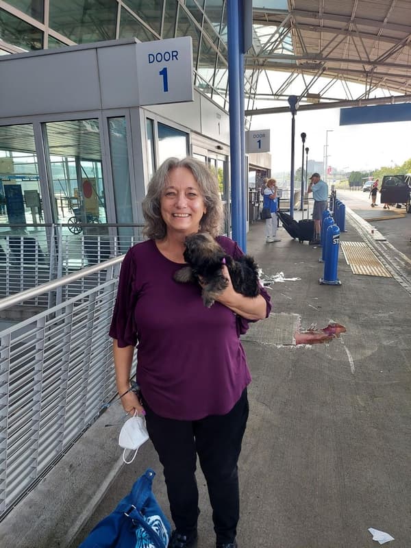 Customer photo of Havanese puppy from Elizabeth C.