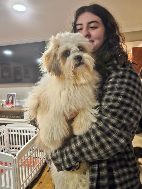 Customer photo of Lhasa Apso puppy from Gabriella N.