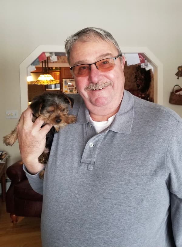 Customer photo of Yorkshire Terrier - Yorkie puppy from Karen A.