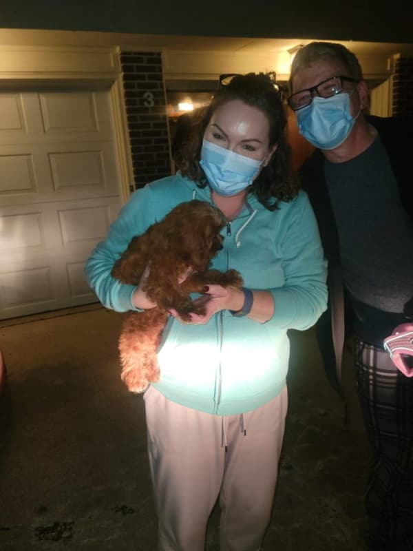 Customer photo of Cavapoo puppy from Jessie D.