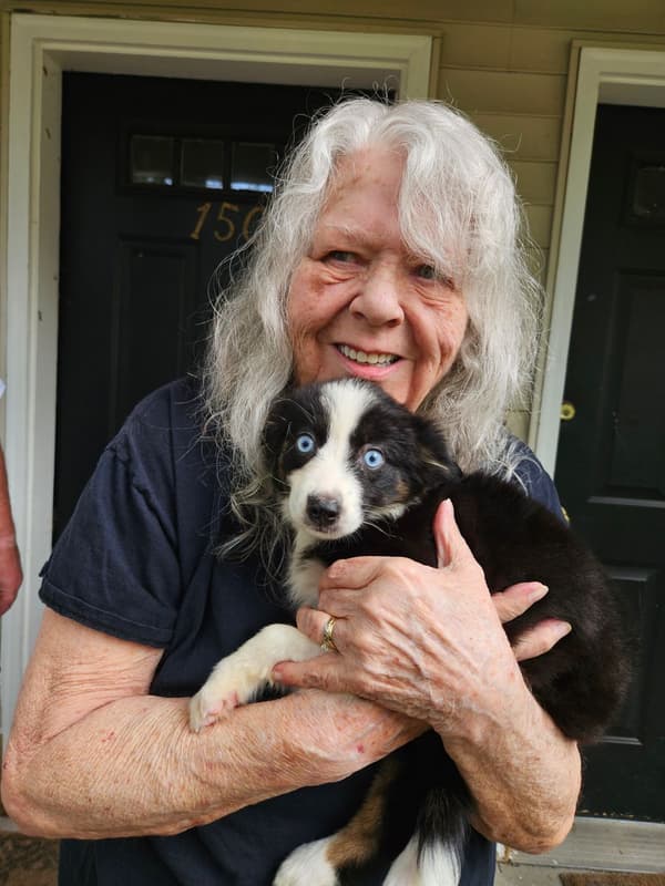 Customer photo of Miniature Australian Shepherd puppy from Claudine K.