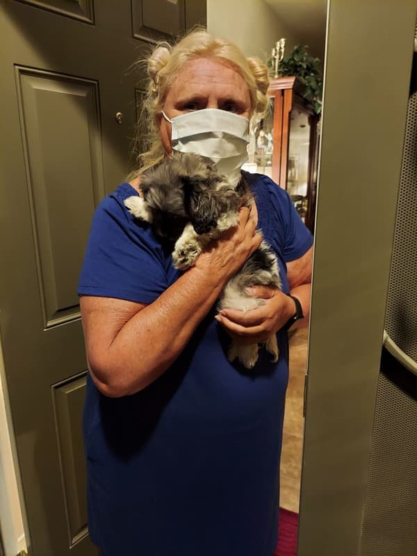 Customer photo of Cockachon puppy from Nicole I.