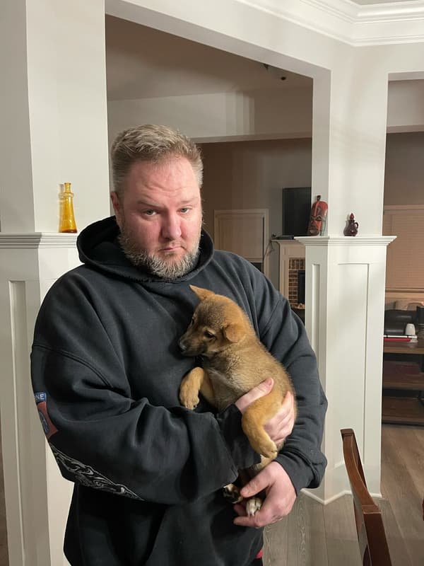 Customer photo of Shiba Inu puppy from Redmond B. 