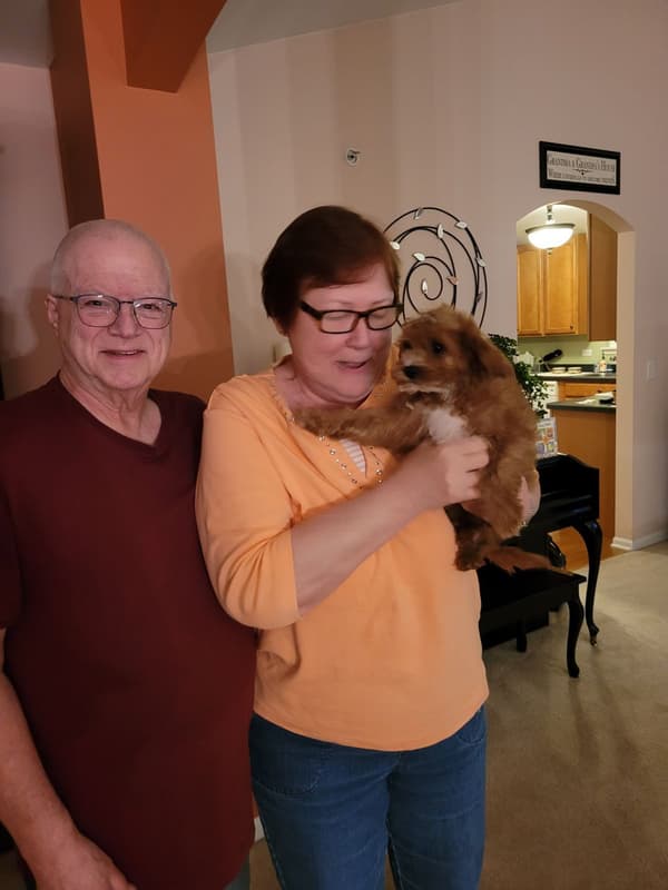 Customer photo of Cavapoo puppy from Denise S.