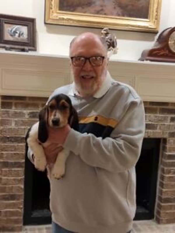 Customer photo of Basset Hound puppy from Phil B.