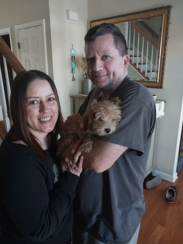 Customer photo of Malti Poo - Maltipoo puppy from Brandi T.